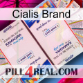 Cialis Brand kamagra1